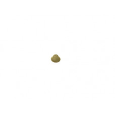 Ecowater SCREEN CONE ( 7095030,7095030 )