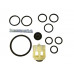 Ecowater Aspirator Seal Kit ( 7195212,7195212 )
